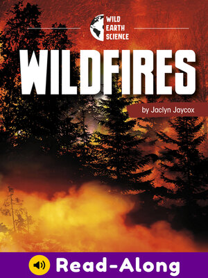 cover image of Wildfires